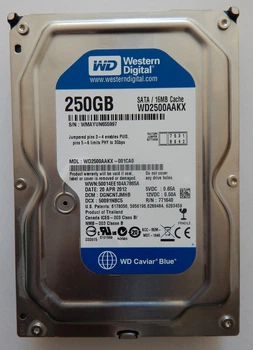 Жесткий диск HDD WD Western Digital Caviar Blue 250GB 16MB 7200RPM 3,5 " (WD2500AAKX) Б/У