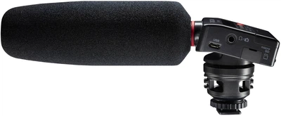 Диктофон цифровой Tascam DR-10SG