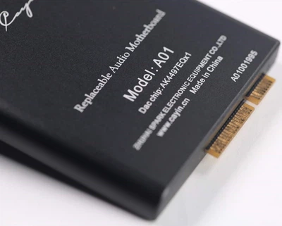 Усилитель Cayin Replaceable Audio Motherboard A01