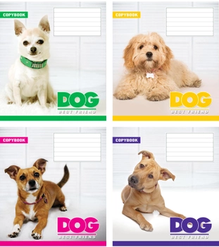 Набір зошитів учнівських Мрії збуваються Собаки B5 клітинка 12 аркушів на скобі картонна обкладинка 4 дизайни 20 шт. (ТА5.1211.2731к)