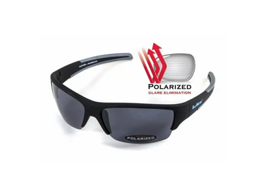 Темные очки с поляризацией BluWater Daytona-2 polarized (gray) (4ДЕЙТ2-20П)