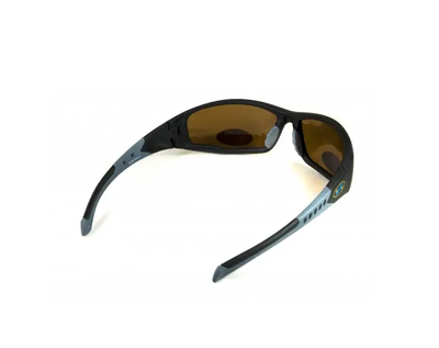 Темные очки с поляризацией BluWater Daytona-3 polarized (brown) (4ДЕЙТ3-50П)