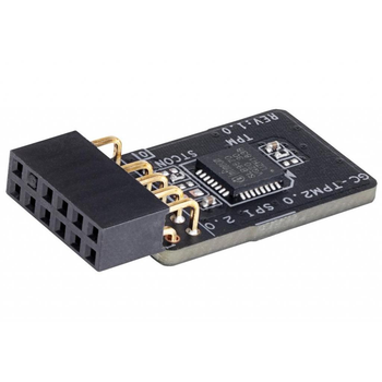 Контроллер Gigabyte TPM-SPI 12-1pin SPI interface SLB9670 (GC-TPM2.0 SPI 2.0)