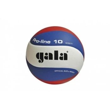 Мяч волейбольный GALA Pro-Line 10 BV5821S