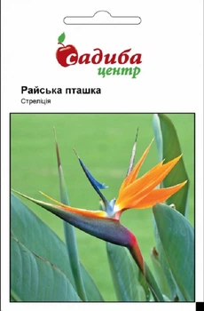 Стреліция Райська пташка Садиба Центр 3 шт