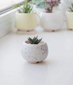 Керамический горшок для цветов Mini Plant размер XS 4,6х5см Круглый Белый Блаугранити