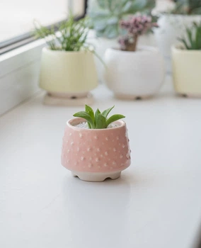 Керамический горшок для растений суккулентов Mini Plant размер XS 4,9х5,2см Розовый Bubble