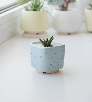 Керамический горшок для кактусов Mini Plant размер XS 5,2х5,1см Квадратный Голубой в крапинку