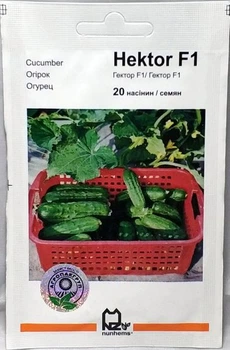 Насіння огірків Агропакгруп Гектор F1 20н 01313
