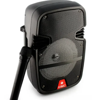 Портативная аккустическая система UKC HS-008BT Black Aurora