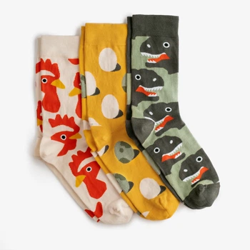 Набір шкарпеток Dodo Socks Evolution 36-38