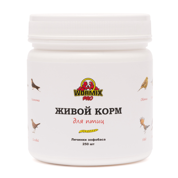 Живой корм для стрижей - Зофобас 250+ шт. Ладья-2