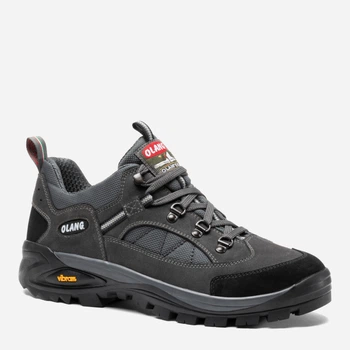 Buty trekkingowe damskie niskie Olang Pieve.Tex Szare 816 40 26 cm Szare (8026556097471)