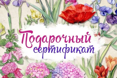 Подарунковий сертифікат на Масаж комірцевої зони Baldini у Києві на Печерську