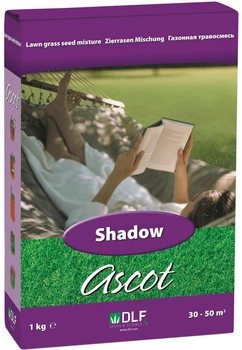 Семена газонной травы пр-ва ASCOT ТЕНЬ Shadow, 1 кг.