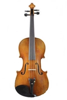 Скрипкa GLIGA AWV044 (Violin 4/4 Gems I) 55200