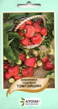 Семена земляника Темтейшин 50 семян Legutko 44215