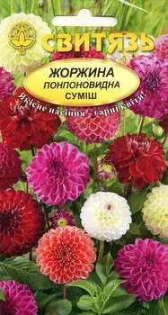Семена цветы Георгина помпоновидная смесь 0,5 г СВИТЯЗЬ 30930