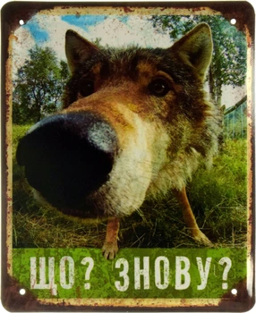 Металева табличка "Що? Знову?" (ms-002619)