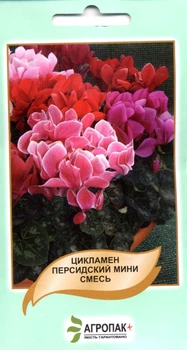 Семена Цикламен Персидский смесь 10 семян Legutko 47341
