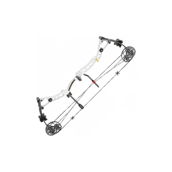 Лук Poe Lang Axis 30-70 LBS White (C0-039W)