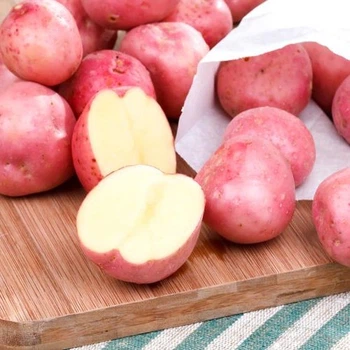 Семенной ранний картофель "Ред Скарлет" (1 репродукция, универсального назначения) 1кг LeGarden