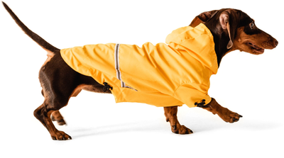 Идеи на тему «Свитер, платье для собаки» () | собаки, одежда для собак, свитер