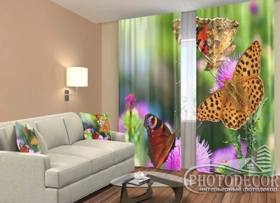 ФотоШтори PHOTODECOR "Метелик"