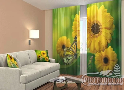 ФотоШтори PHOTODECOR "Гербери і метелики"