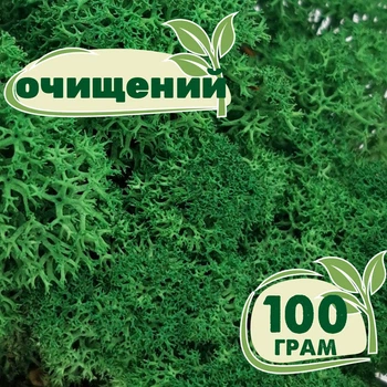 Очищенный стабилизированный мох ягель Nordic moss Зеленый травяной темный 100 грамм