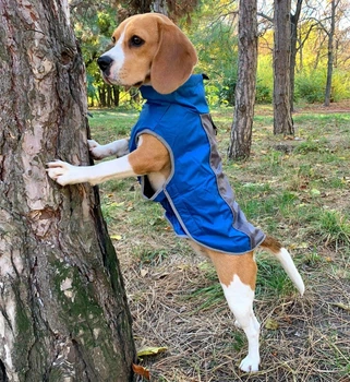 Жилетка для собак NoblePet Supper Doggy S Blue