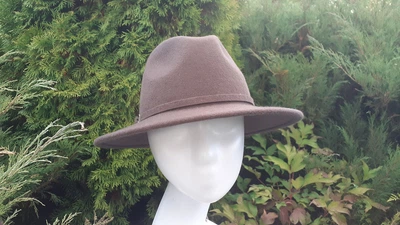 Фетровая шляпа Helen Line One size коричневая (351-1)