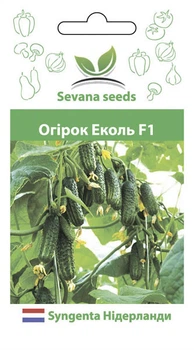 Огурец Эколь F1 50 шт. самоопыляемый Syngenta
