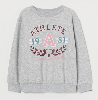 Свитшот с начесом для девочки H&M Regular fit 0870518001 134-140 см (8-10 years) Серый