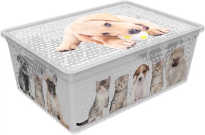 Контейнер для зберігання з кришкою Qutu Light Box Cats and Dogs 10 л (LIGHT BOX з/к CATS AND DOGS 10 л)