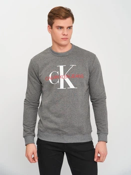 Світшот на флісі чоловічий Calvin Klein Jeans 10836.2 M (46) Сірий