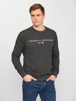 Світшот на флісі чоловічий Tommy Hilfiger 10843.3 S Темно-сірий