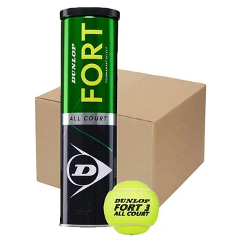 Теннисный мяч Dunlop Fort Аll Court TS 4Ball (72 мяча)