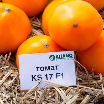 Семена томатов Kitano Seeds Нукси (кс 17, ks 17) f1 10 семян