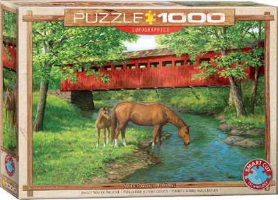 Пазл Eurographics Міст у лісі 1000 елементів (6000-0834) (628136608343)