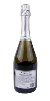Вино игристое Багратиони классическое белое полусухое 0.75 л 11,5% (4860069010053)