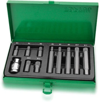 Набор бит 10 мм Toptul Spline 11 предметов (GAAD1102)