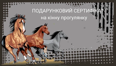 Подарочный сертификат Прогулка на лошади на 1 человека 60мин