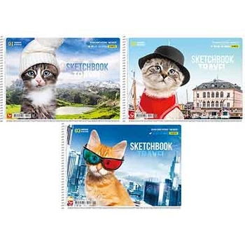 Альбом для рисования А4 20л спираль PB-SC-020-502 Шк