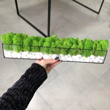 Моссариум со стабилизированым мхом MiNature Moss 40см