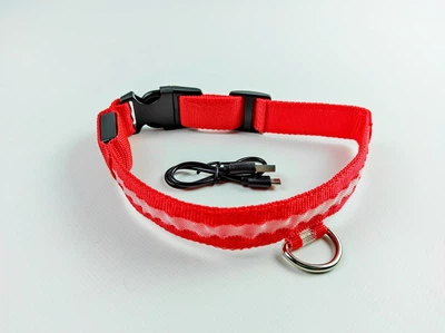 Світиться нейлоновы нашийник для собак DogClub USB Red M(40-48)