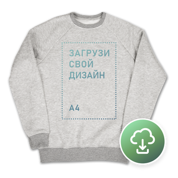 Свитшот Теплый Унисекс, L, с печатью A4 вертикаль, TM4-270889