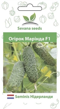 Огурец Маринда F1 50 шт. самоопыляемый Seminis