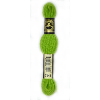 Нитки DMC Tapestry & Embroidery Wool Зелений середній (4867341)