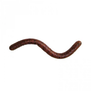 Силикон Jackall Yammy 250 3.5" Ebimiso Red Flake